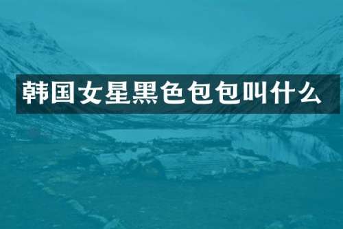 韩国女星黑色包包叫什么