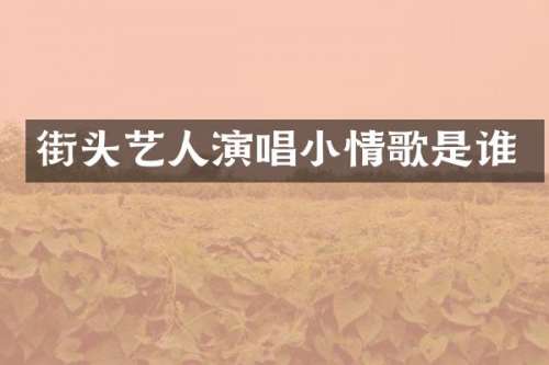 街头艺人演唱小情歌是谁