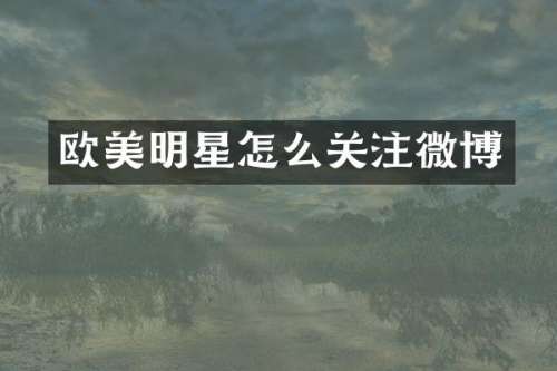 欧美明星怎么关注微博