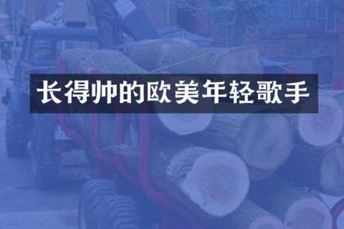 长得帅的欧美年轻歌手
