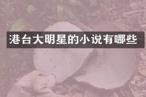 港台大明星的小说有哪些