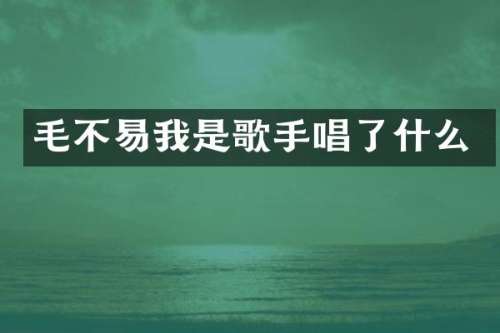 毛不易我是歌手唱了什么