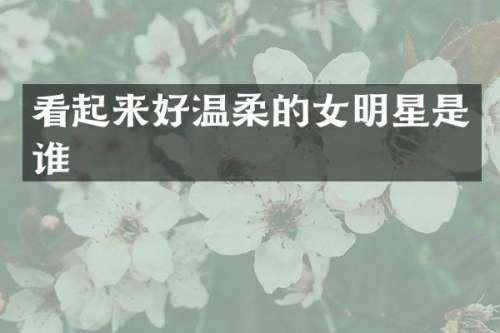 看起来好温柔的女明星是谁