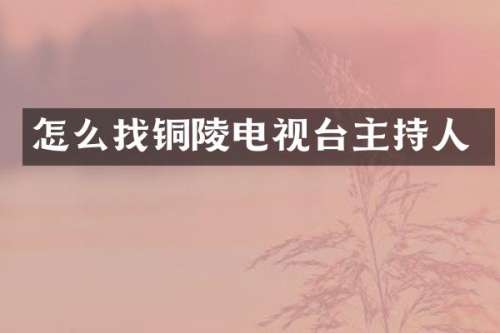 怎么找铜陵电视台主持人