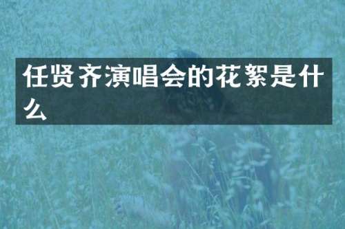 任贤齐演唱会的花絮是什么