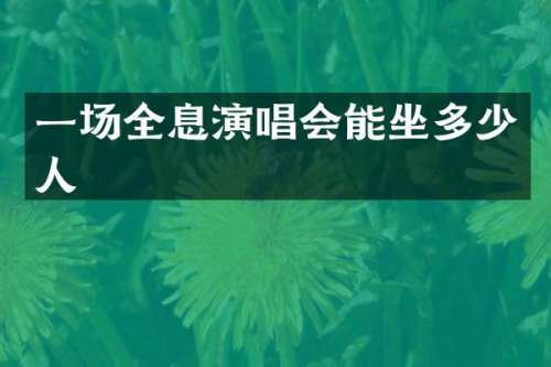 一场全息演唱会能坐多少人