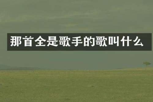 那首全是歌手的歌叫什么