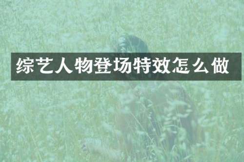 综艺人物登场特效怎么做