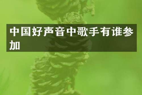 中国好声音中歌手有谁参加
