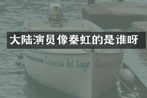 大陆演员像秦虹的是谁呀