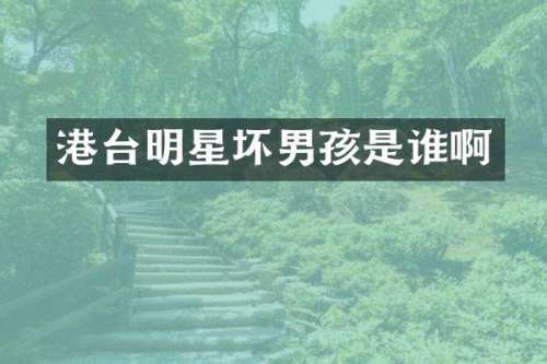 港台明星坏男孩是谁啊