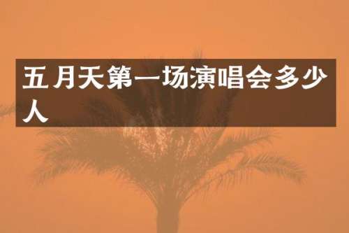 五月天第一场演唱会多少人