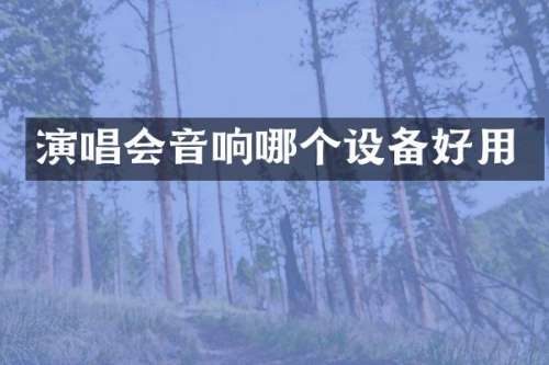 演唱会音响哪个设备好用