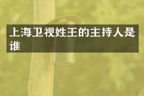 上海卫视姓王的主持人是谁