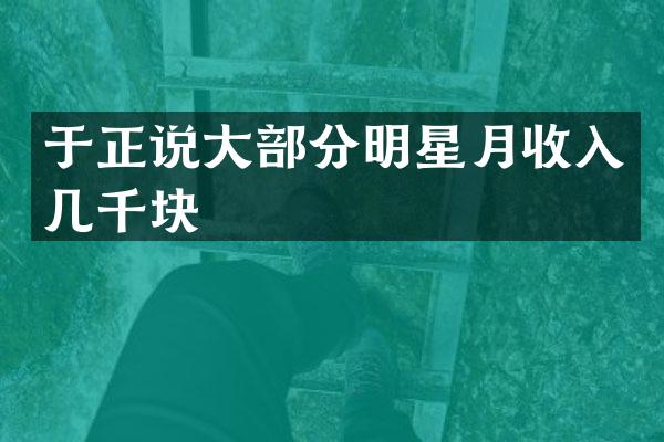 于正说大部分明星月收入几千块