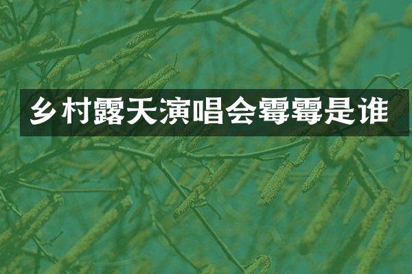 乡村天演唱会是谁