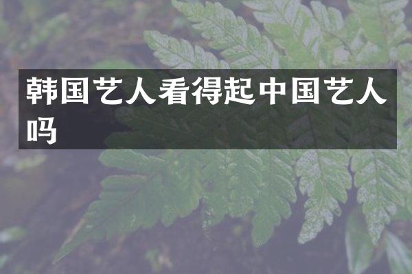 韩国艺人看得起中国艺人吗