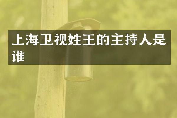上海卫视姓王的主持人是谁