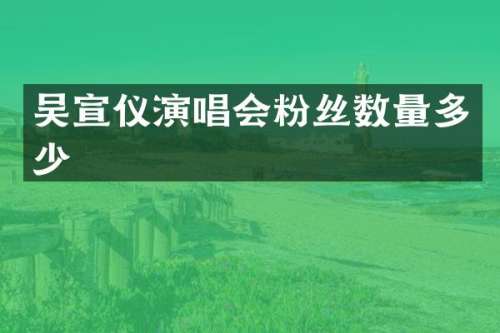 吴宣仪演唱会粉丝数量多少