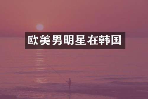欧美男明星在韩国