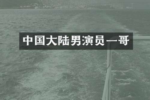 中国大陆男演员一哥