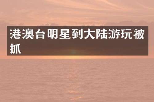 港澳台明星到大陆游玩被抓