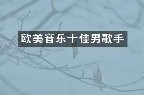 欧美音乐十佳男歌手