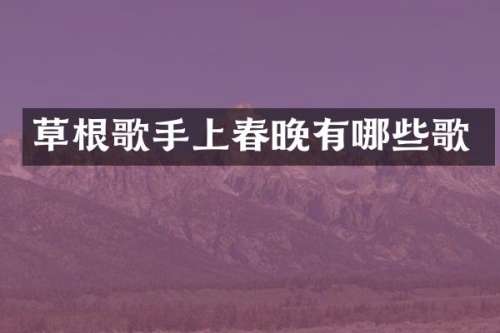 草根歌手上有哪些歌