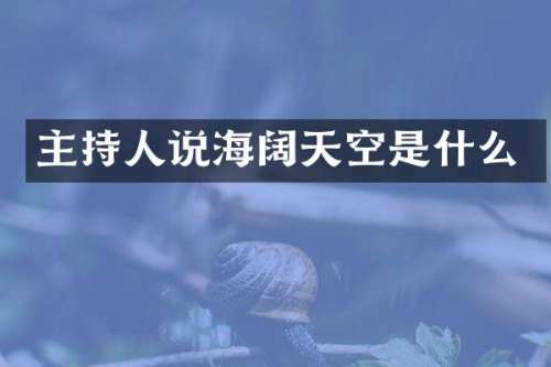 主持人说海阔天空是什么