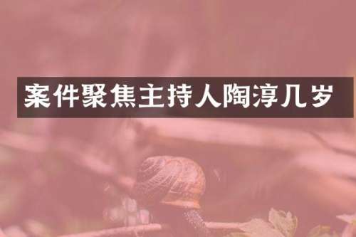 案件聚焦主持人陶淳几岁
