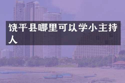 饶平县哪里可以学小主持人