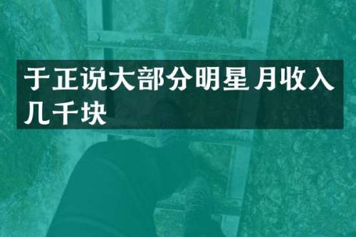 于正说大部分明星月收入几千块