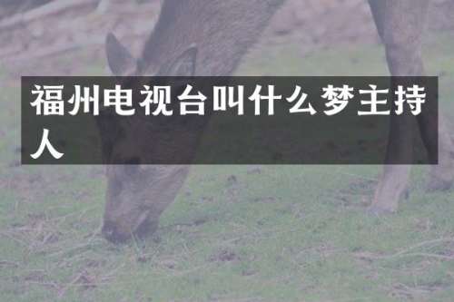 福州电视台叫什么梦主持人