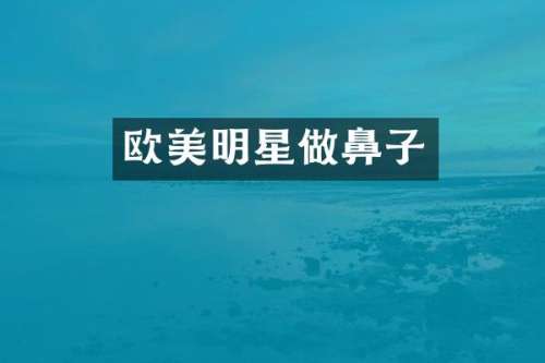 欧美明星做鼻子