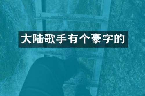 大陆歌手有个豪字的