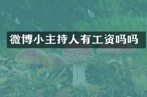 微博小主持人有工资吗吗