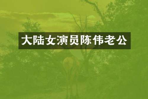 大陆女演员陈伟老公