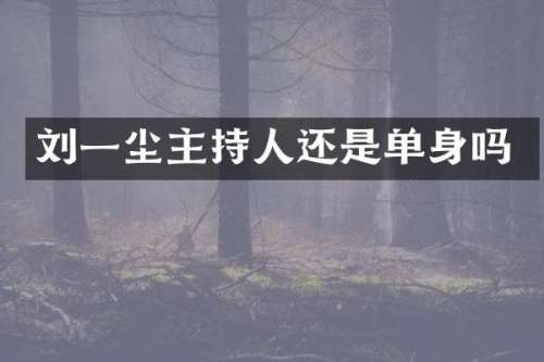 刘一尘主持人还是单身吗