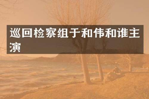 巡回检察组于和伟和谁主演