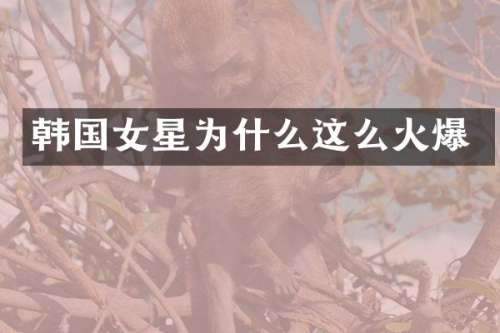 韩国女星为什么这么火爆