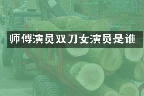 师傅演员双刀女演员是谁