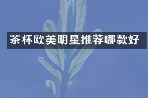 茶杯欧美明星推荐哪款好