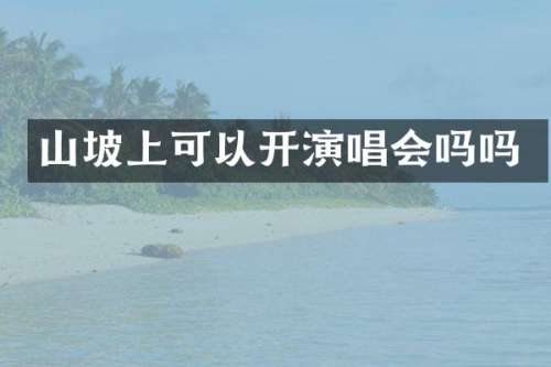 山坡上可以开演唱会吗吗