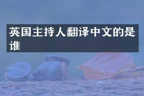 英国主持人翻译中文的是谁
