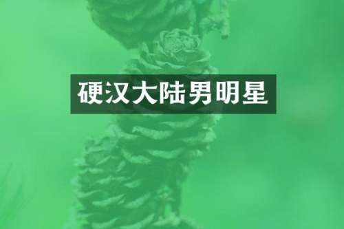 硬汉大陆男明星