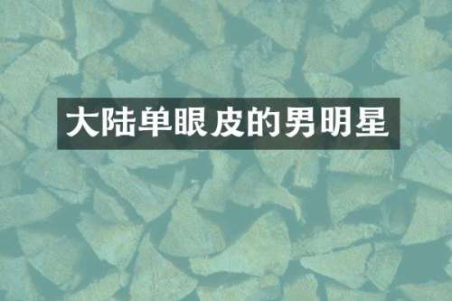 大陆单眼皮的男明星