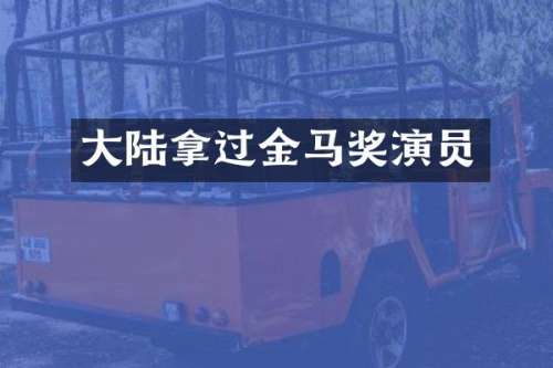 大陆拿过金马奖演员