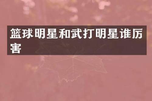 篮球明星和武打明星