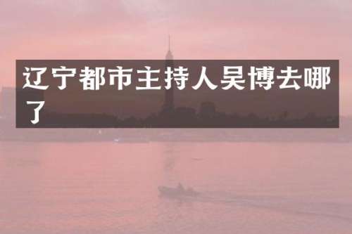 辽宁都市主持人吴博去哪了