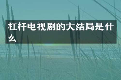 杠杆电视剧的大结局是什么